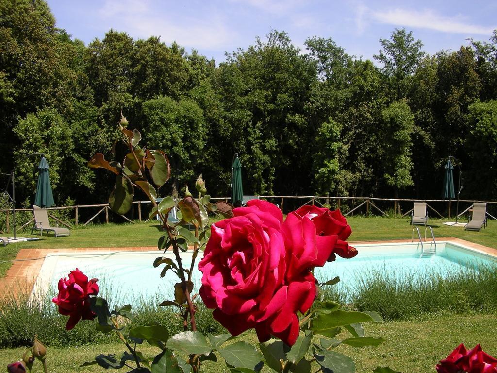 Tre Madonne *